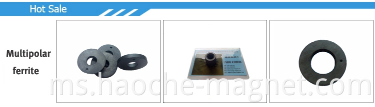 Suntikan magnet magnet plastik magnet rotor turbin magnet untuk pam penyejukan air